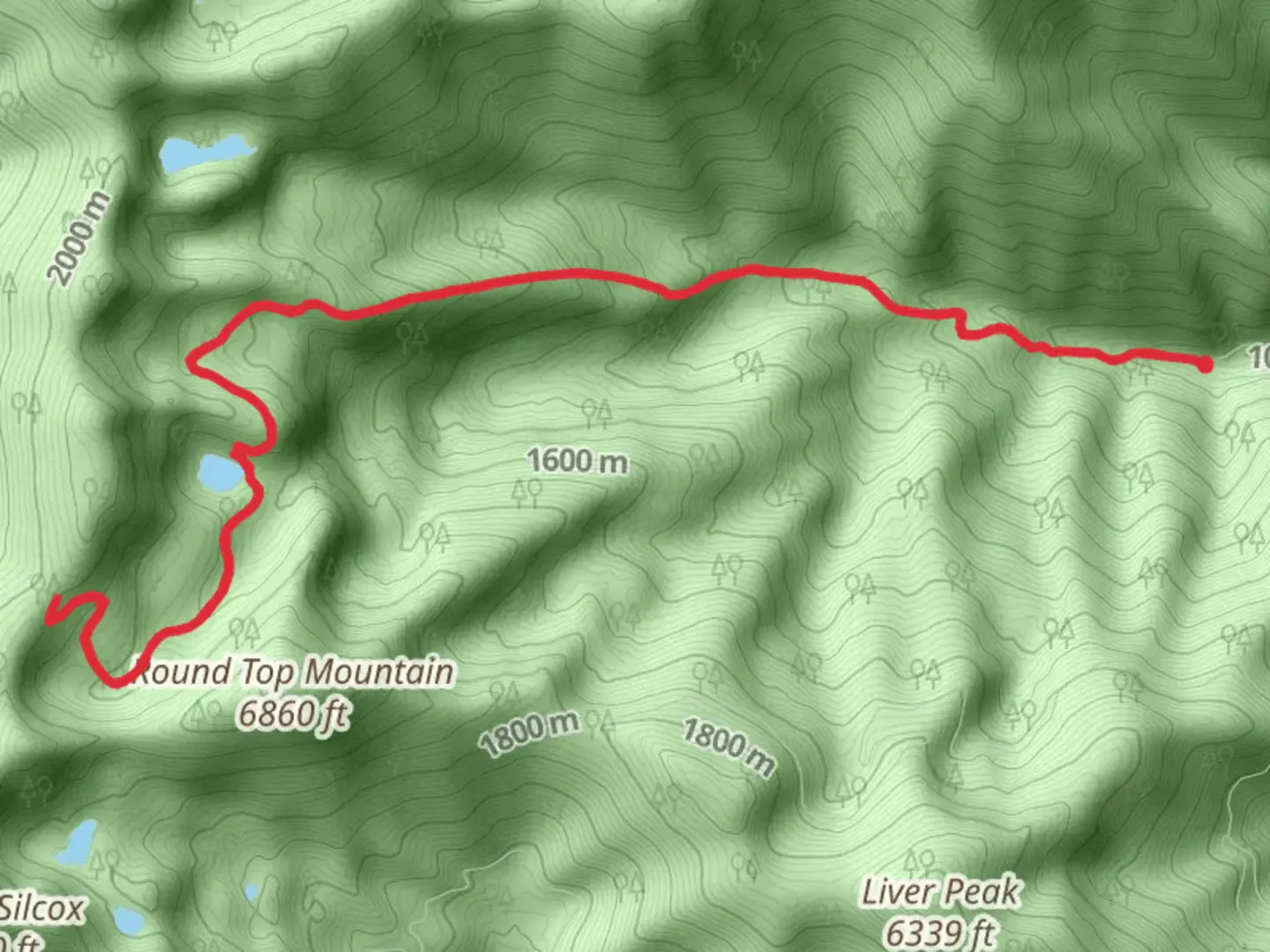 An image depicting the trail Honeymoon Creek Trail and its surrounding area.