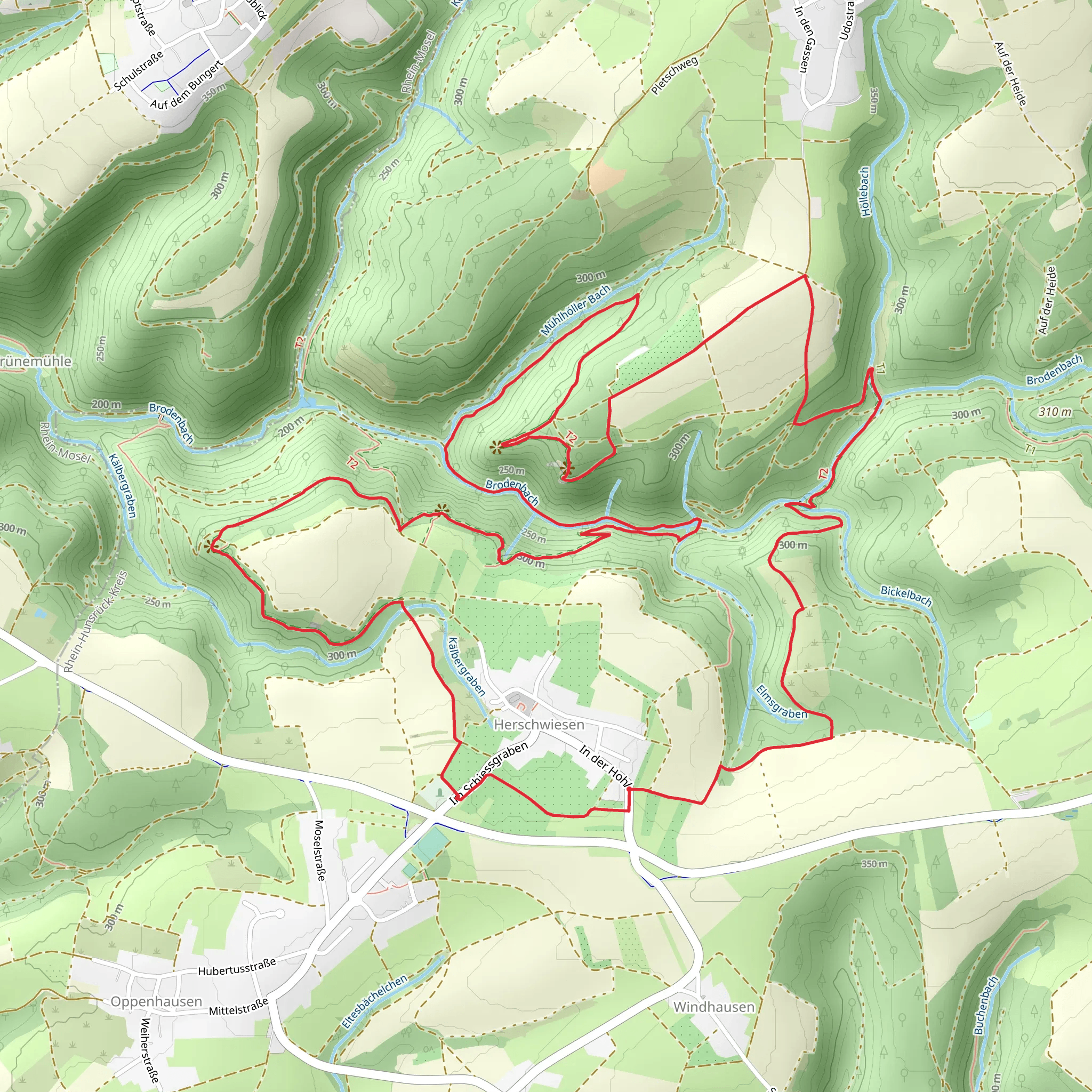 Hirschwiesen Loop via Buchholler Kopf and Dieterblick mobile static map