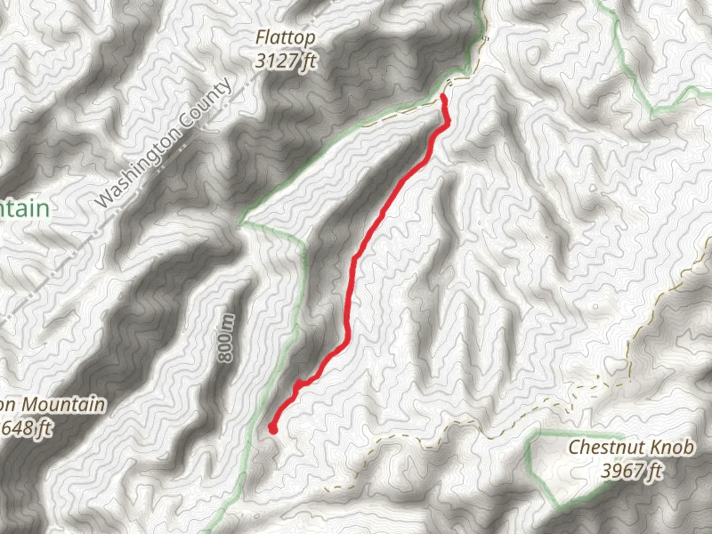 An image depicting the trail Longarm Branch and its surrounding area.