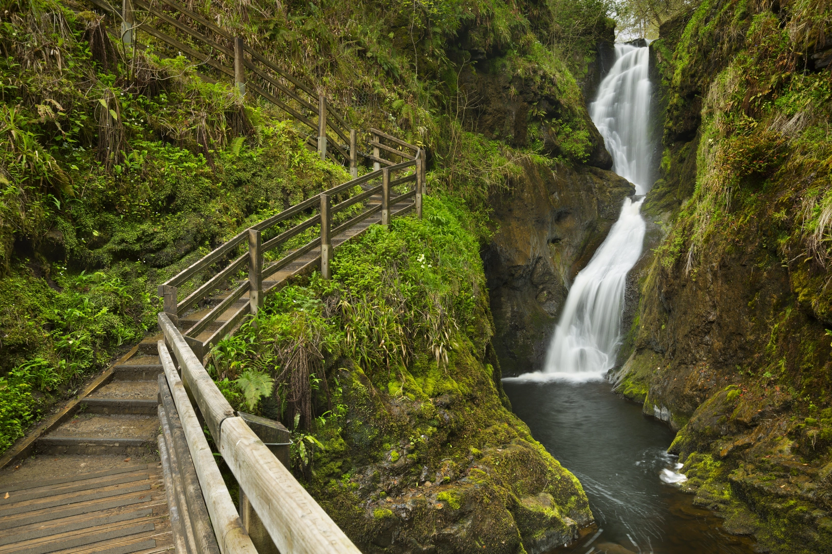 An image depicting the trail Glenariff Nature Reserve Waterfalls Walk and its surrounding area.