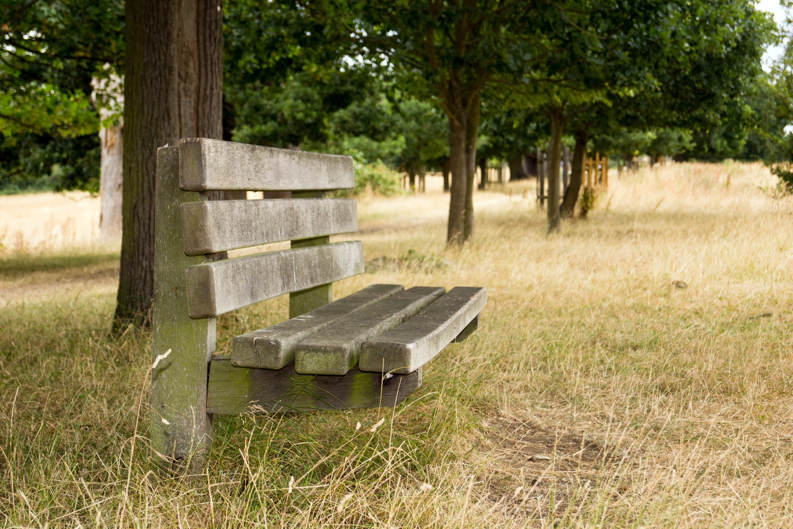 An image depicting the trail Cambridge to Enfield Station Walk and its surrounding area.