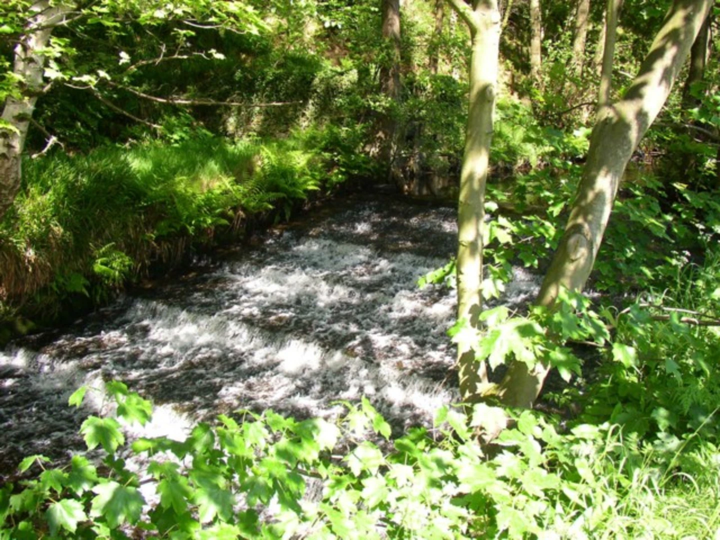 An image depicting the trail Hebden Water, Mill Pond and Gibson Mill Walk and its surrounding area.