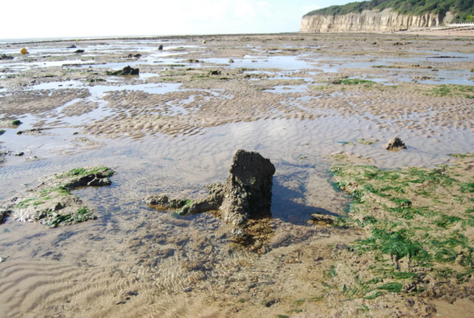 An image depicting the trail Exceat and Friston Loop and its surrounding area.