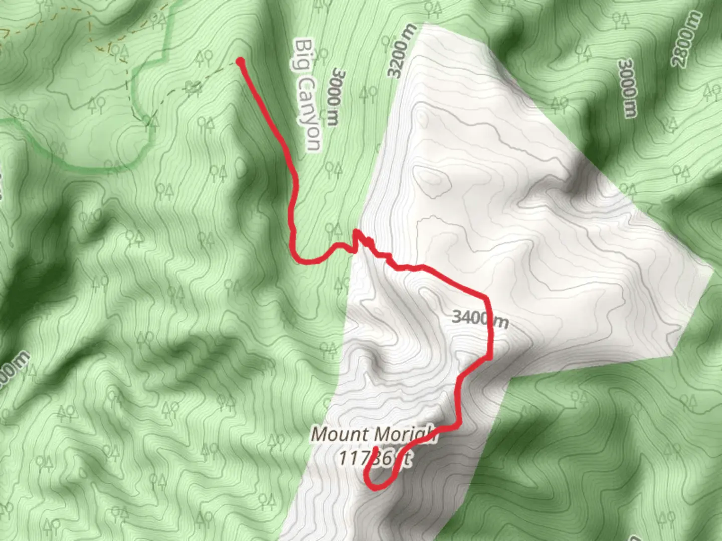 An image depicting the trail Mount Moriah via Pack Trail and its surrounding area.