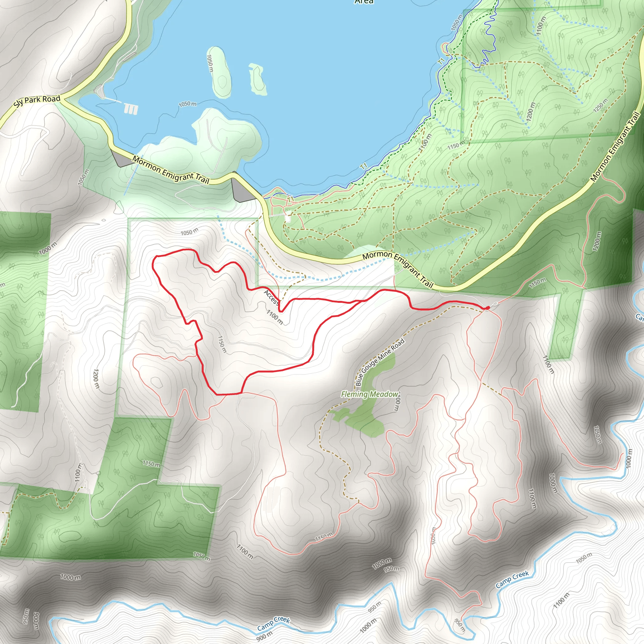 Trail 8 Loop from Bonetti Road mobile static map