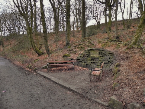 America Wood and Borsdane Wood