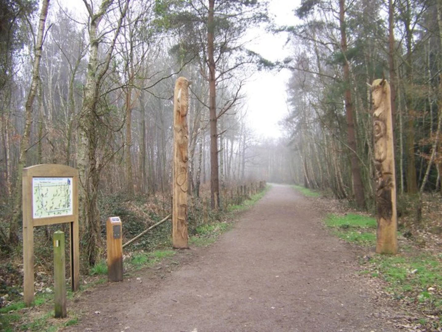 An image depicting the trail The Wildart Trail and its surrounding area.