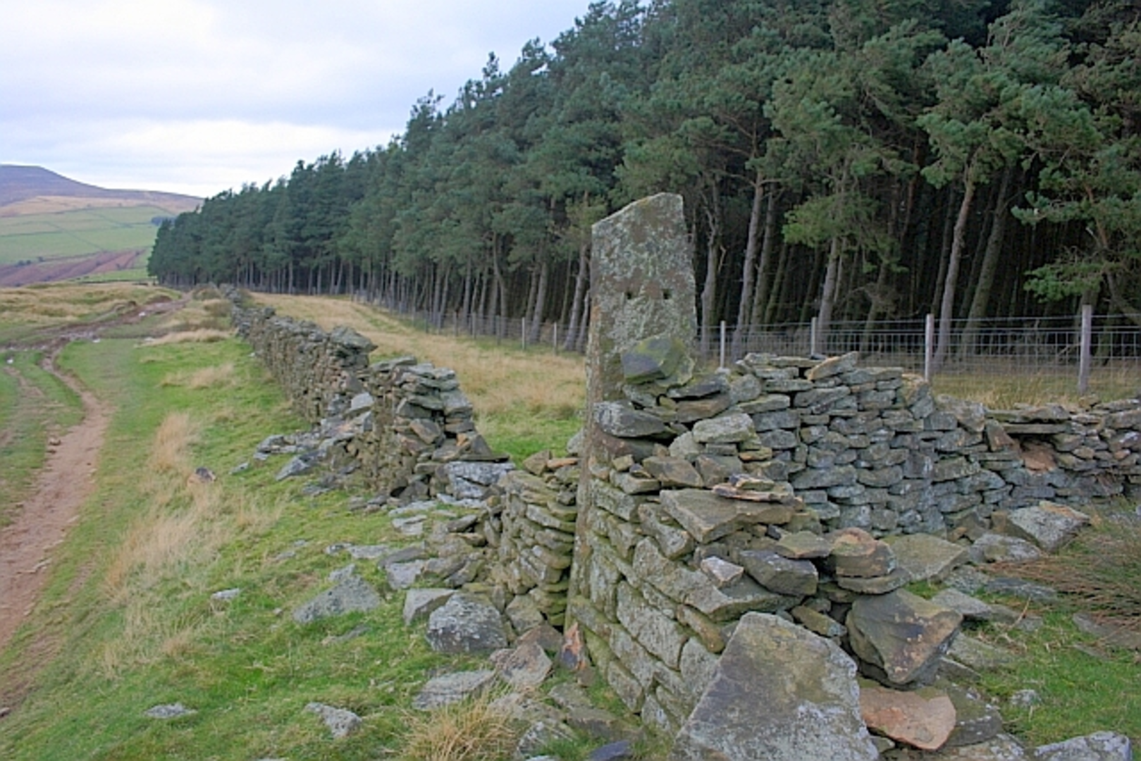 An image depicting the trail Wooler Knoll, Win Hill and Haggwater Bridge Loop and its surrounding area.