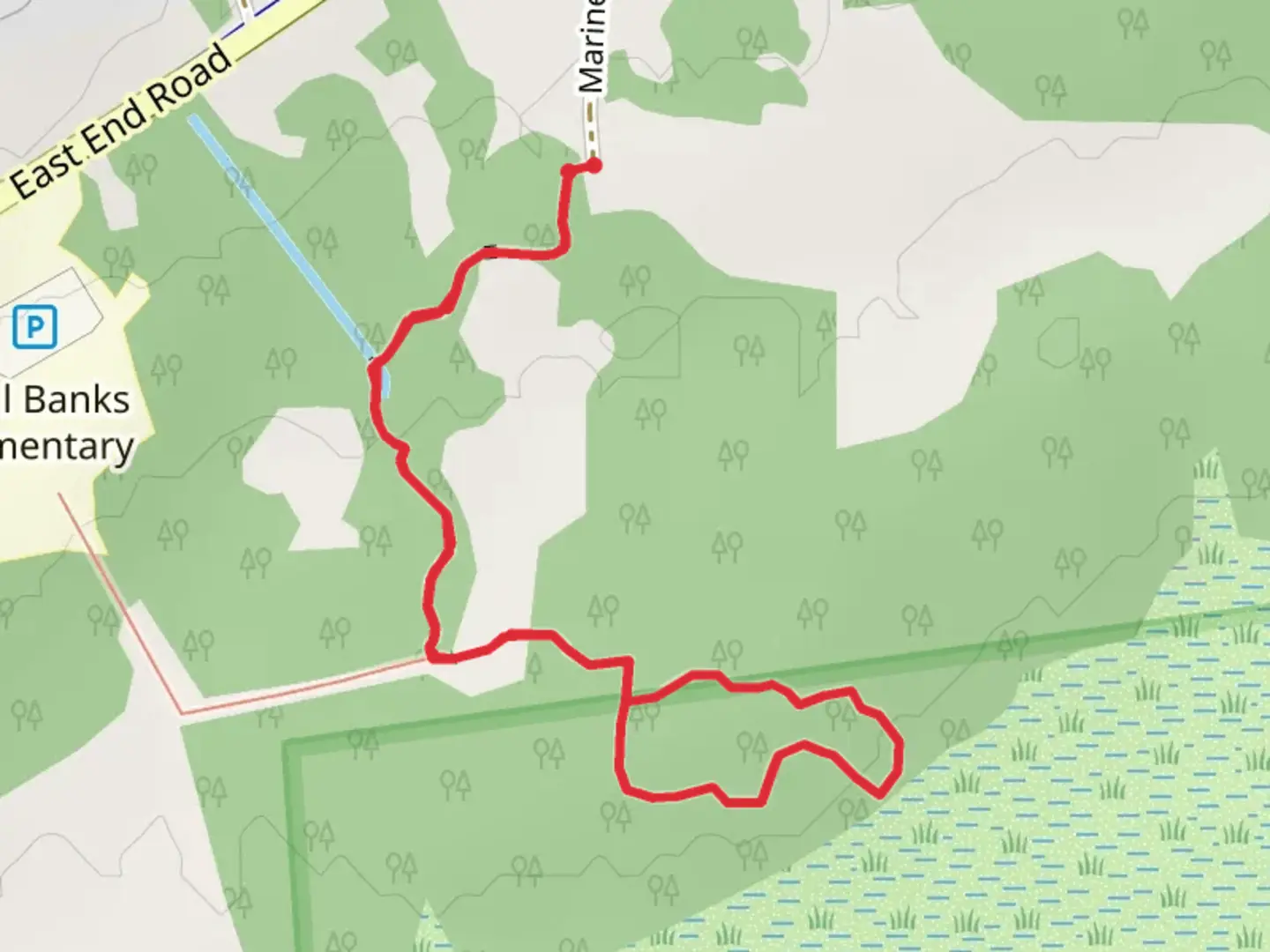 An image depicting the trail Calvin and Coyle Nature Loop Trail and its surrounding area.