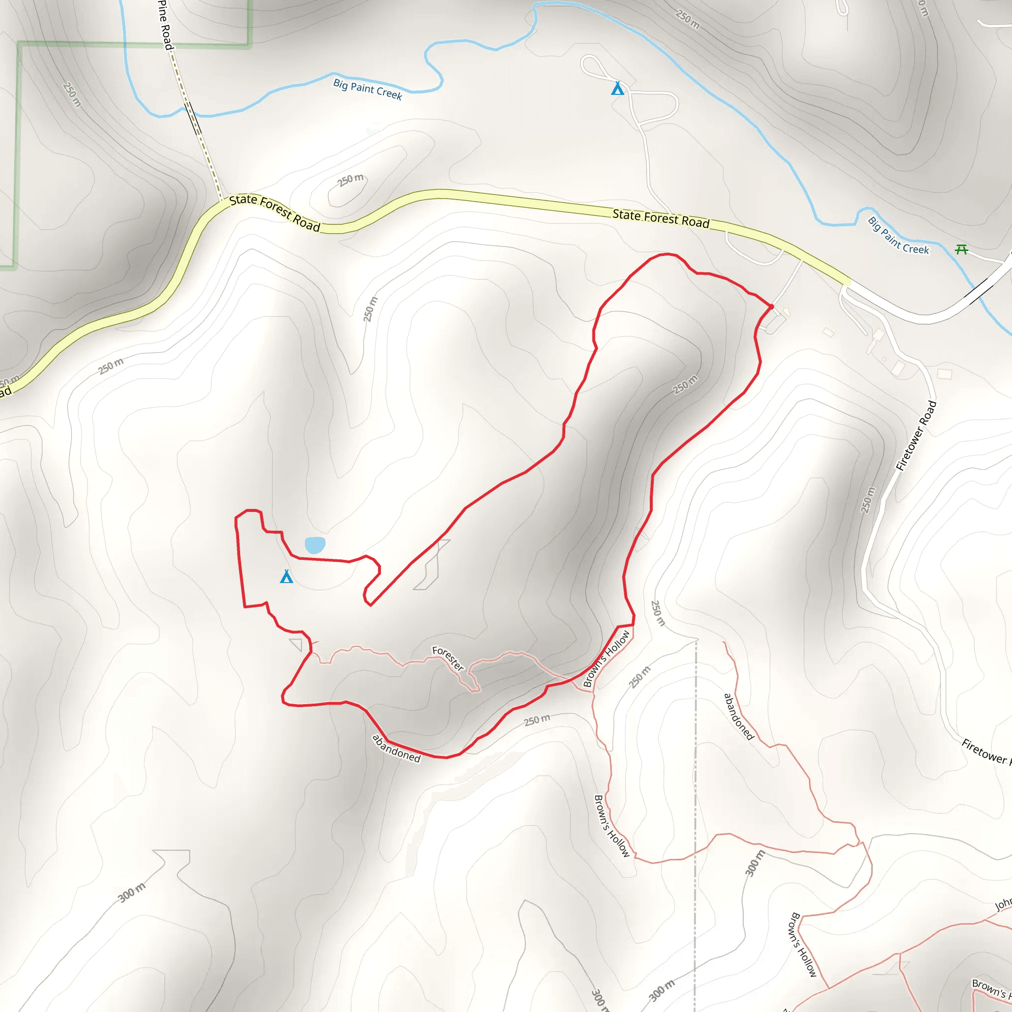 White Pine and Forester Loop mobile static map