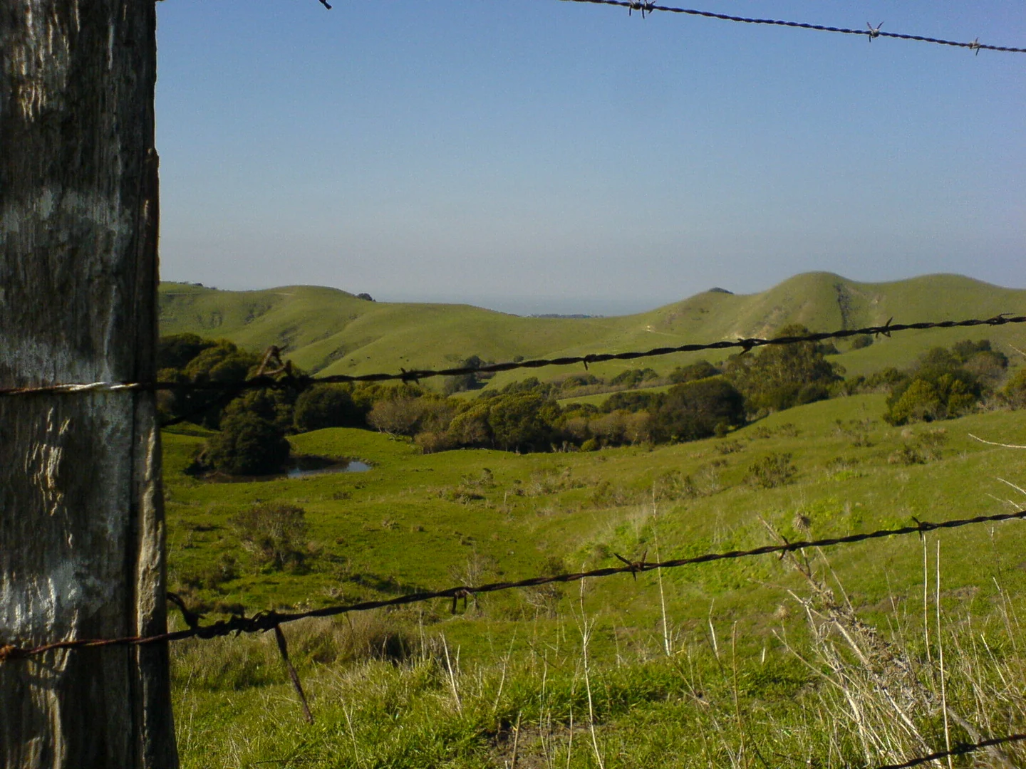 An image depicting the trail San Pablo Ridge Trail and its surrounding area.