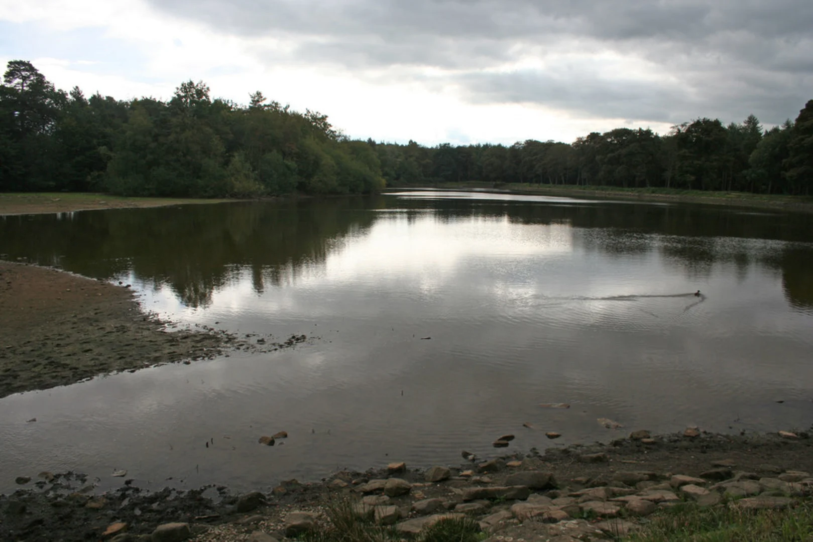 An image depicting the trail Emperor Lake and Chatsworth Park Loop and its surrounding area.