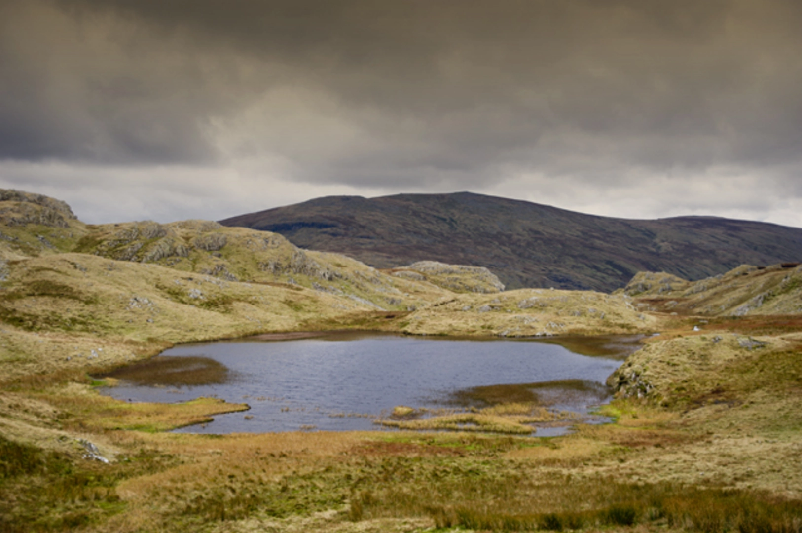 An image depicting the trail Rosthwaite Fell, Glaramara and Thornythwaite Fell Loop and its surrounding area.