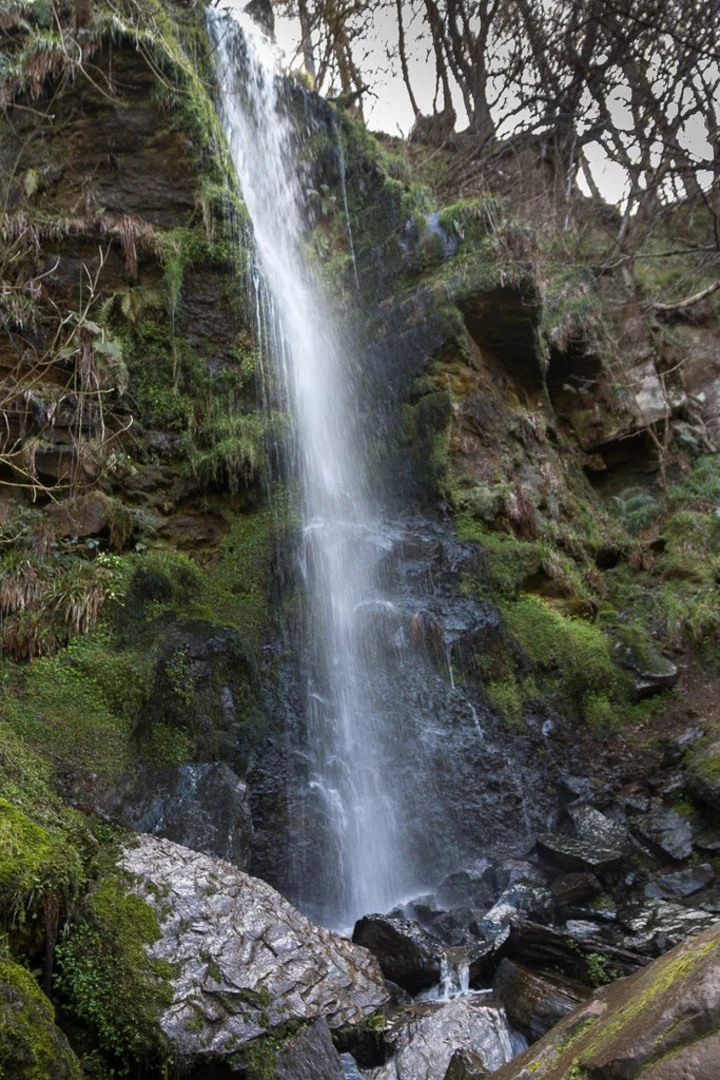 An image depicting the trail Mallyan Spout Waterfall and its surrounding area.