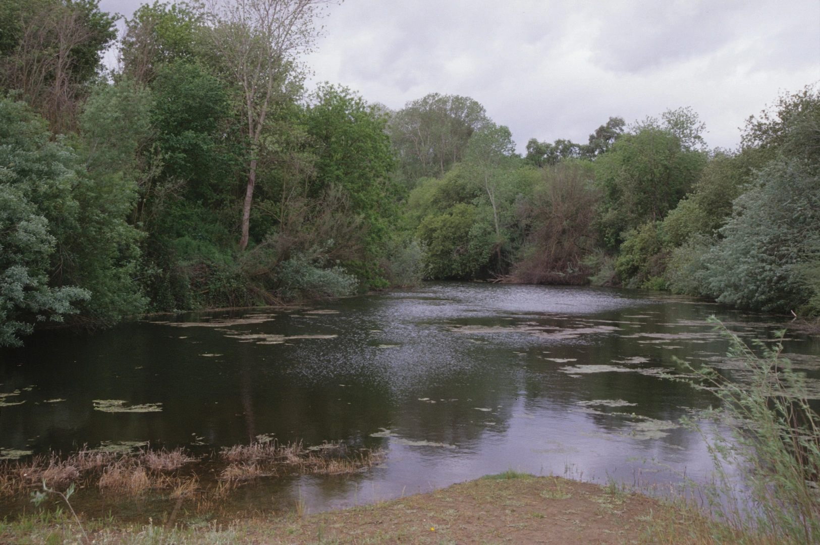 An image depicting the trail River Bend and Gray Fox Loop Trail and its surrounding area.