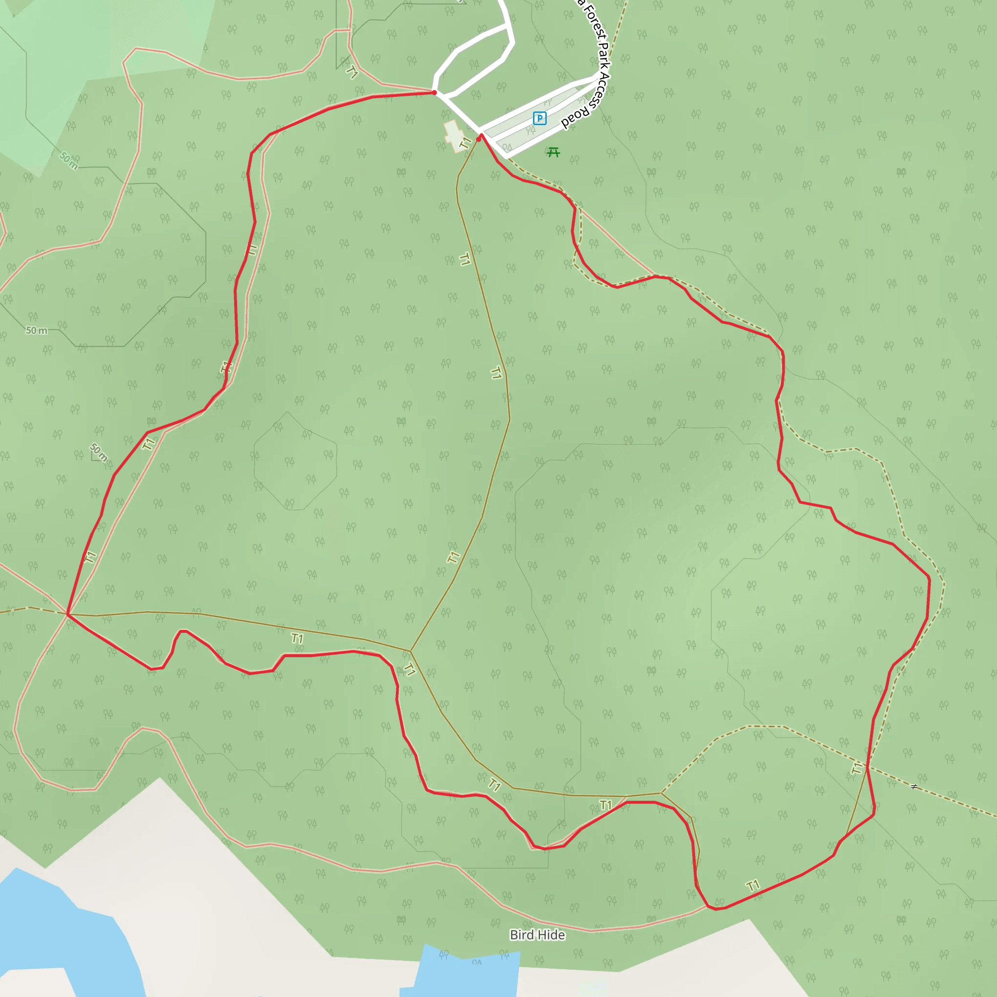 Portumna Forest Park - Woodland Walking Trail mobile static map