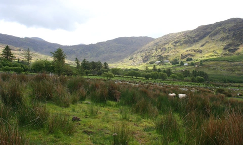 An image depicting the trail Lough Curraghmore, Carrauntoohil and Caher Loop via Kerry Way and its surrounding area.