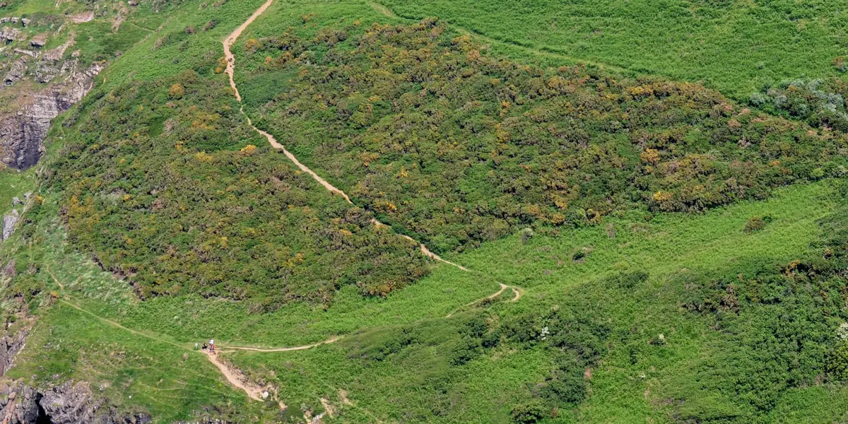 Trwyn Crou from Cwmtydu