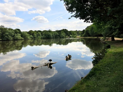 An image depicting the trail Connaught Water Loop and its surrounding area.