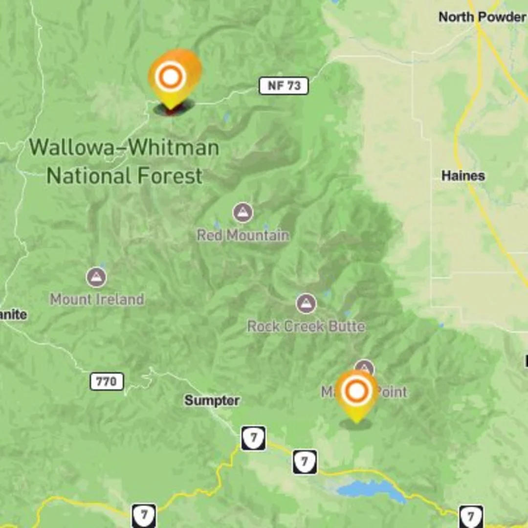 An image depicting the trail Ski- Rock Garden and its surrounding area.