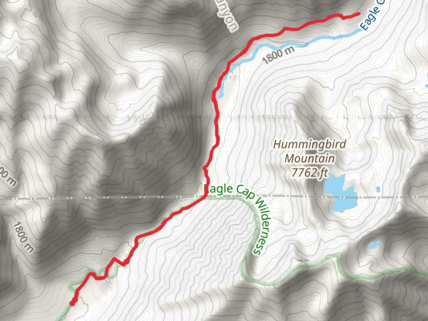 An image depicting the trail Main Eagle Trail and its surrounding area.