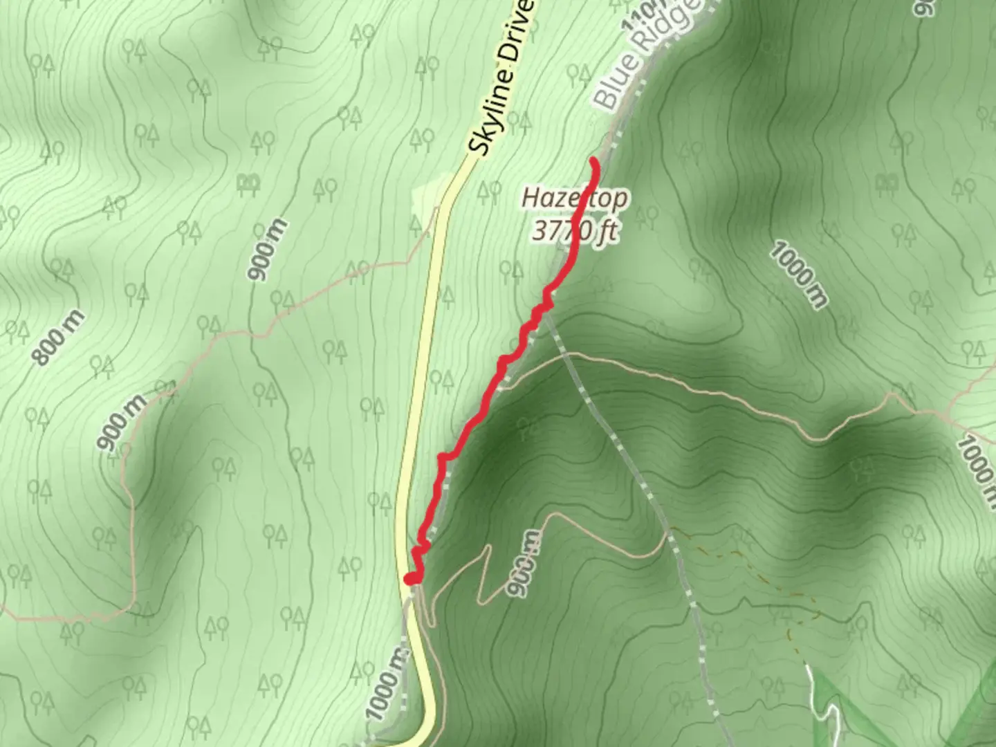 An image depicting the trail Hazeltop via Appalachian Trail and its surrounding area.