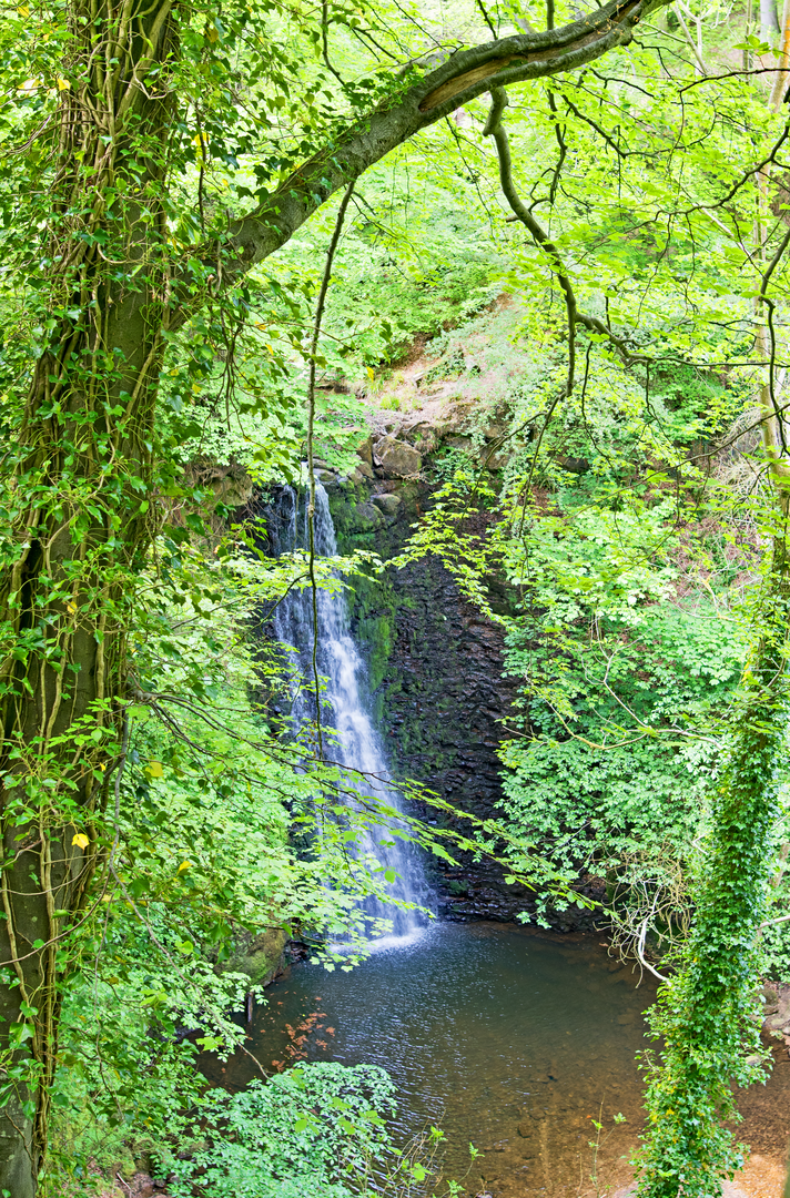 An image depicting the trail May Beck and Falling Foss Walk and its surrounding area.
