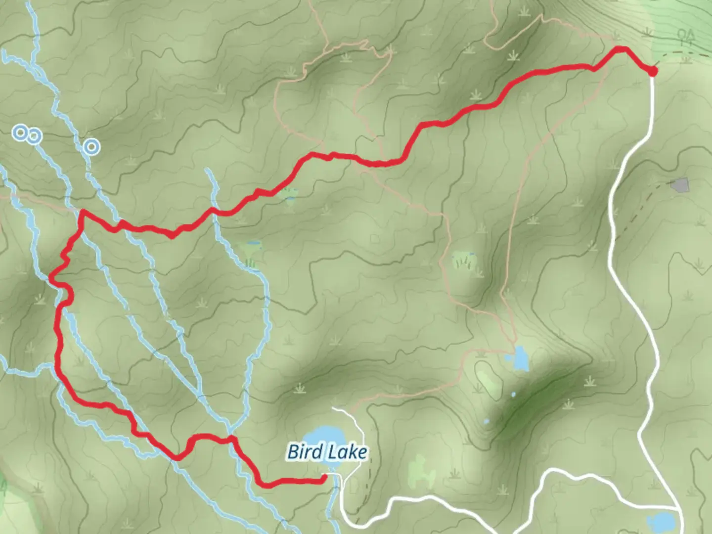 An image depicting the trail Bird Lake Trail and its surrounding area.