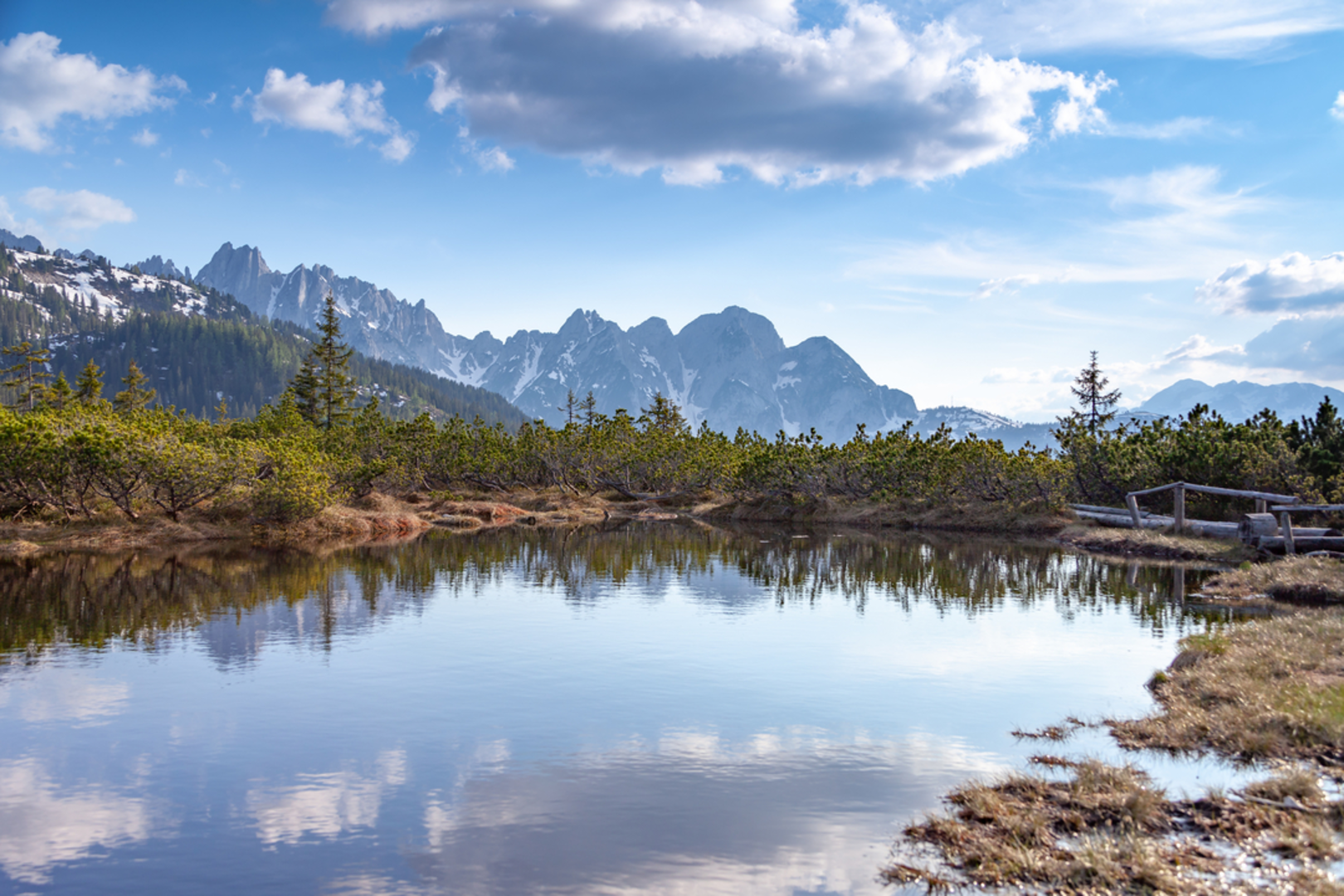 An image depicting the trail Löckenmoos Loop and its surrounding area.
