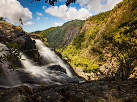 An image depicting the trail Bump Track and its surrounding area.