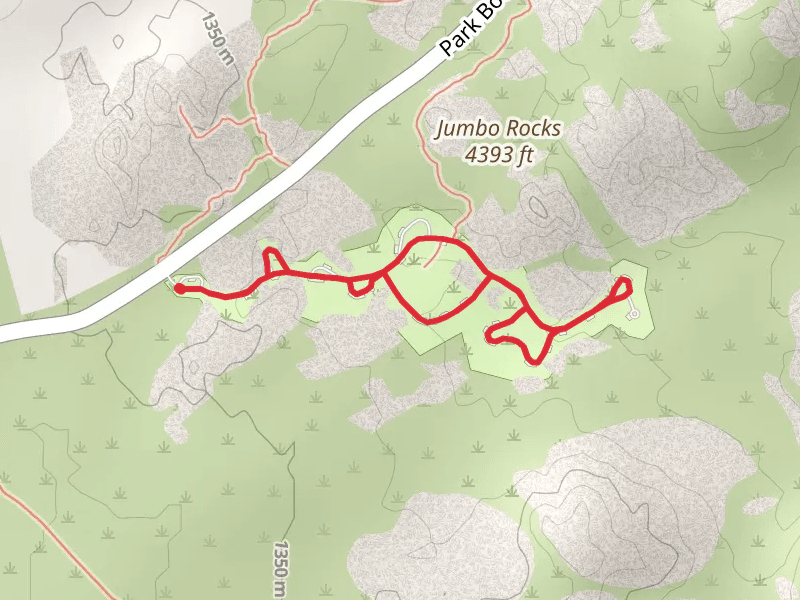 Jumbo Rocks Campground Loop