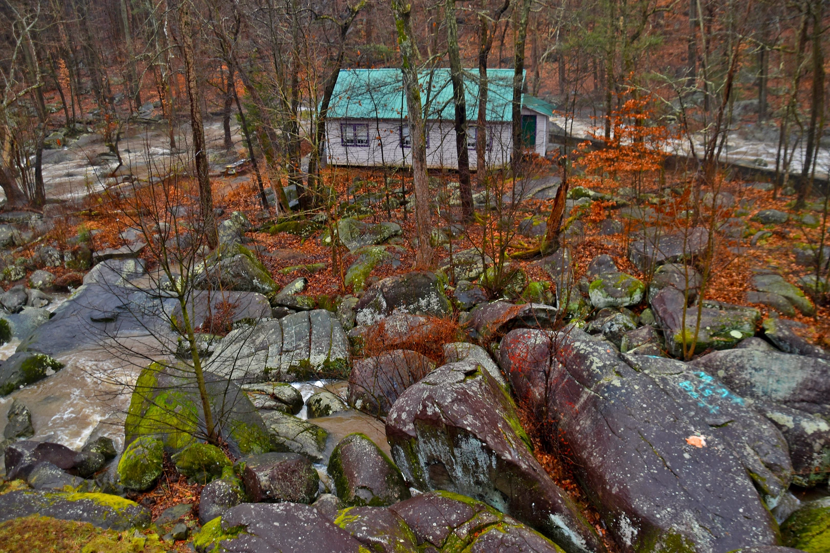 An image depicting the trail Saint Peters Loop and its surrounding area.