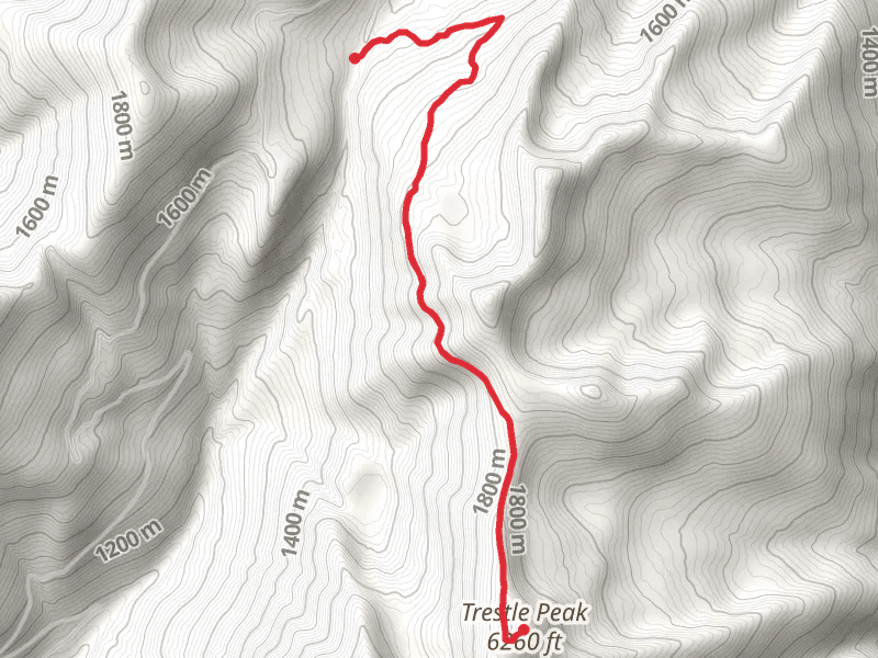 Trestle Peak Out and Back