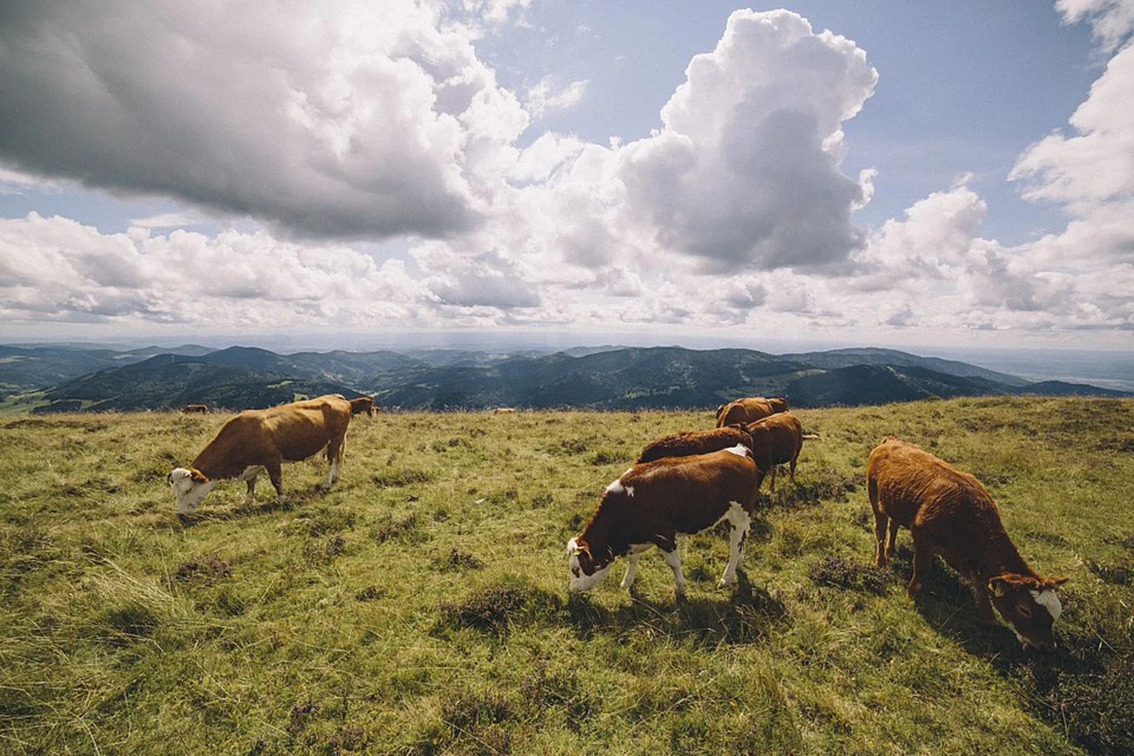 An image depicting the trail Hinterer Hoerschbachwasserfall via Hangweg and Schwammhofweg and its surrounding area.