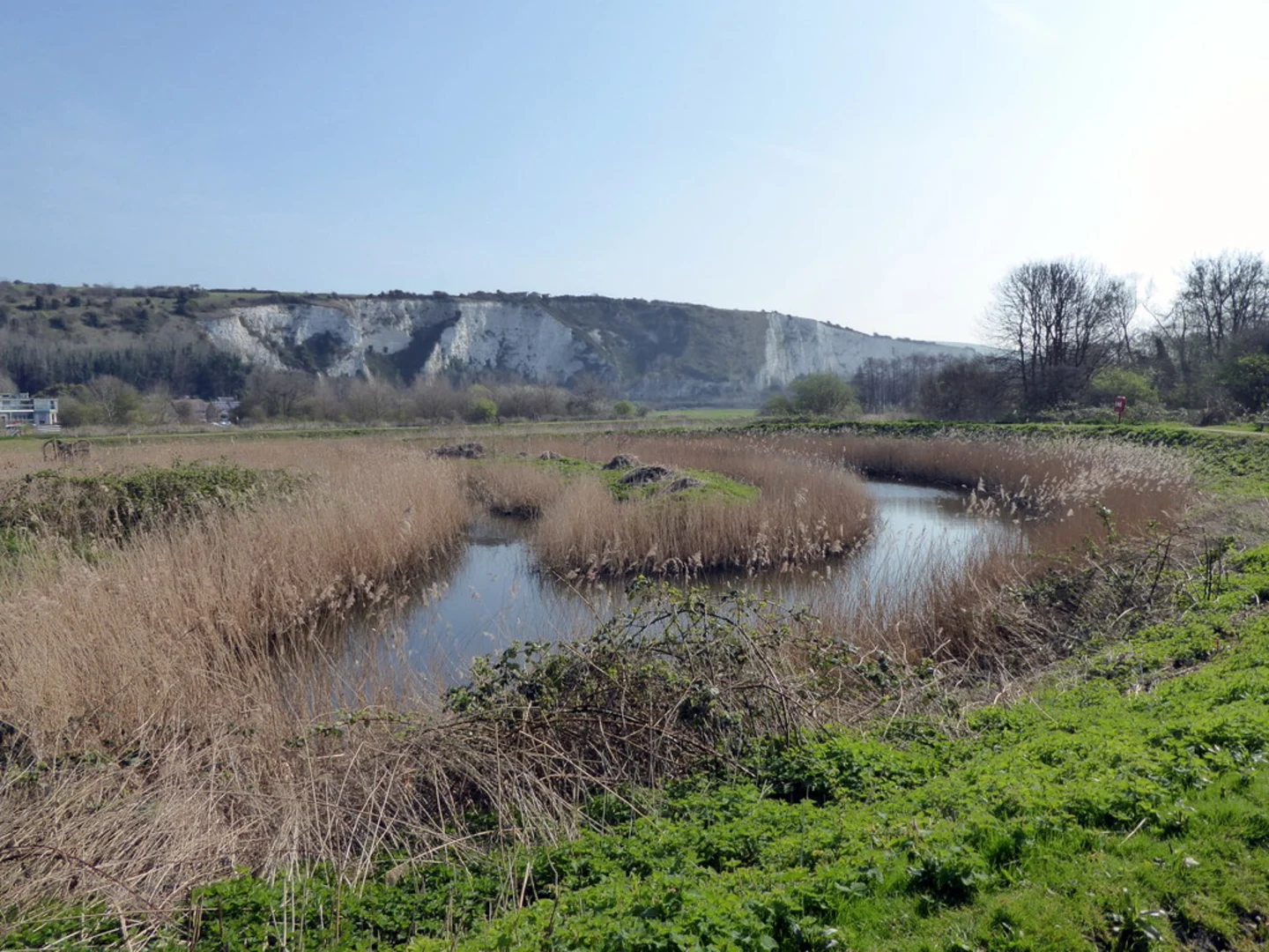 An image depicting the trail Lewes Railway Land Local Nature Reserve Loop and its surrounding area.