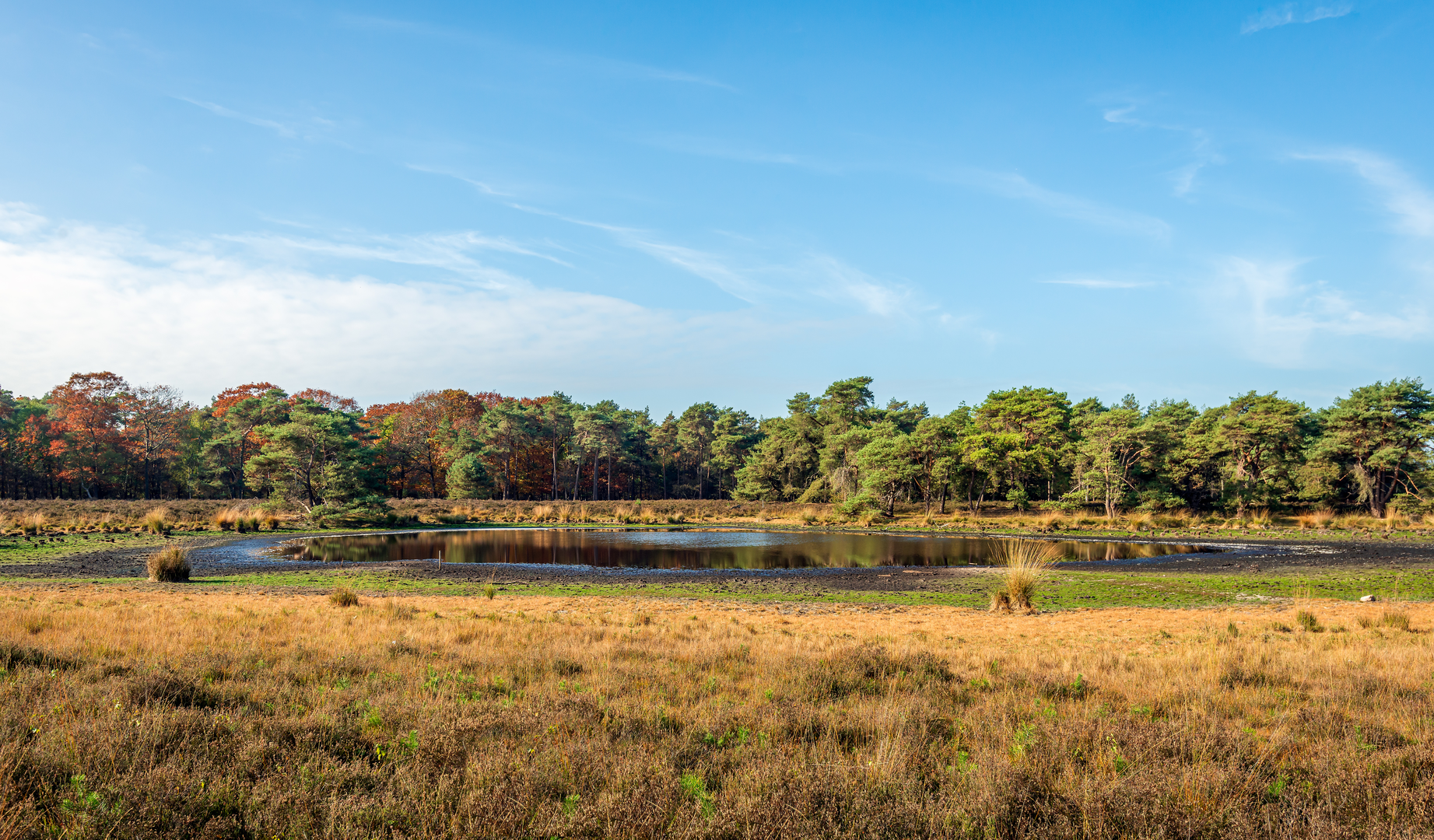 An image depicting the trail Jacob Trippad and Steenhopenweg Loop and its surrounding area.