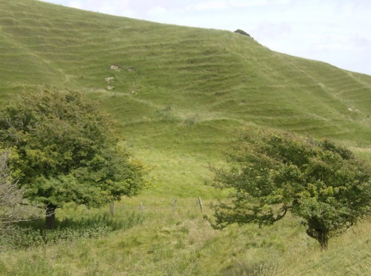 Medham to Brighstone Walk