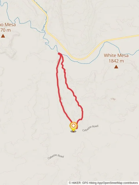 Dragons Back - White Mesa Loop Trail