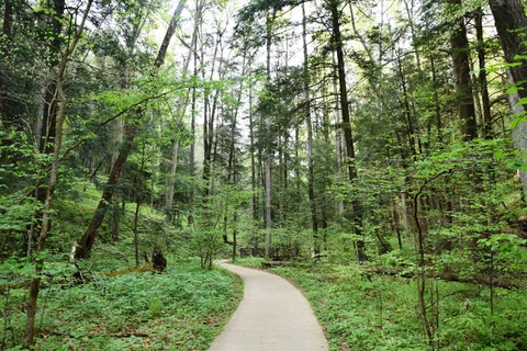 North Country Trail - Ohio