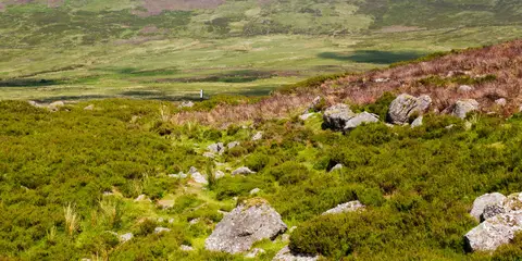 An image depicting the trail Nire Valley Trails - Sgilloges Walk and its surrounding area.