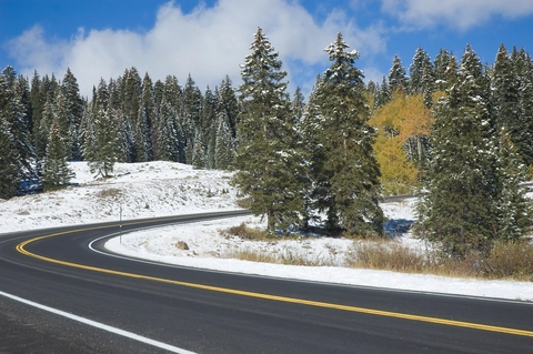 An image depicting the trail Cobbett to Ward Trail and its surrounding area.