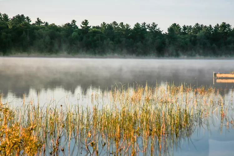 Anvil Lake Trail Vilas County Wisconsin