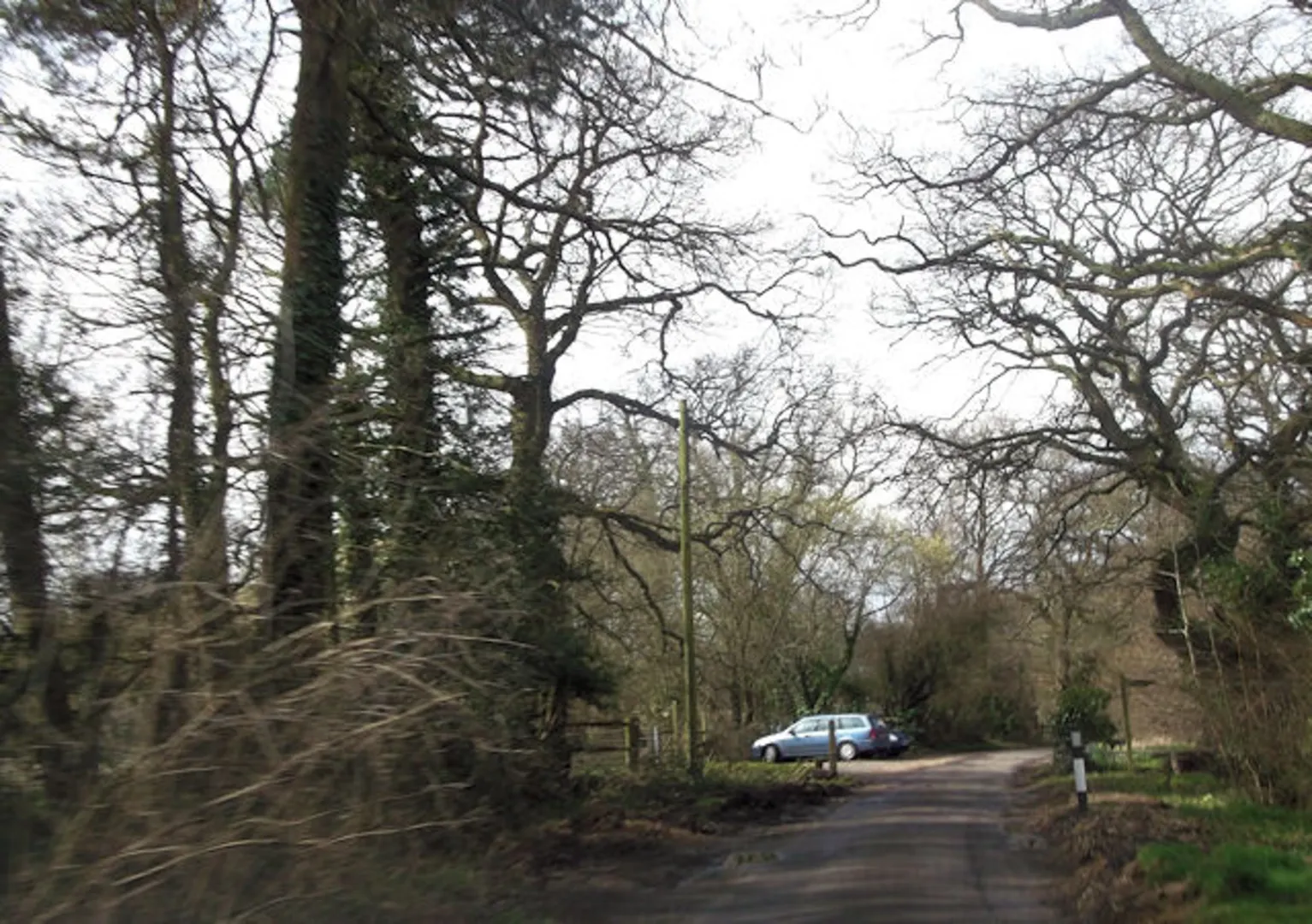 An image depicting the trail Emer Bog and Baddesley Common Nature Reserve Loop and its surrounding area.