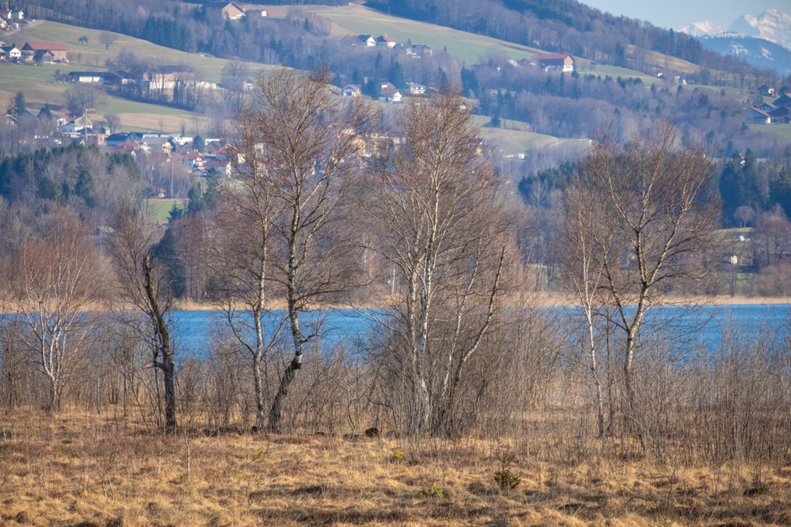 An image depicting the trail Oberhofen Loop - Way of the Dragonfly and its surrounding area.
