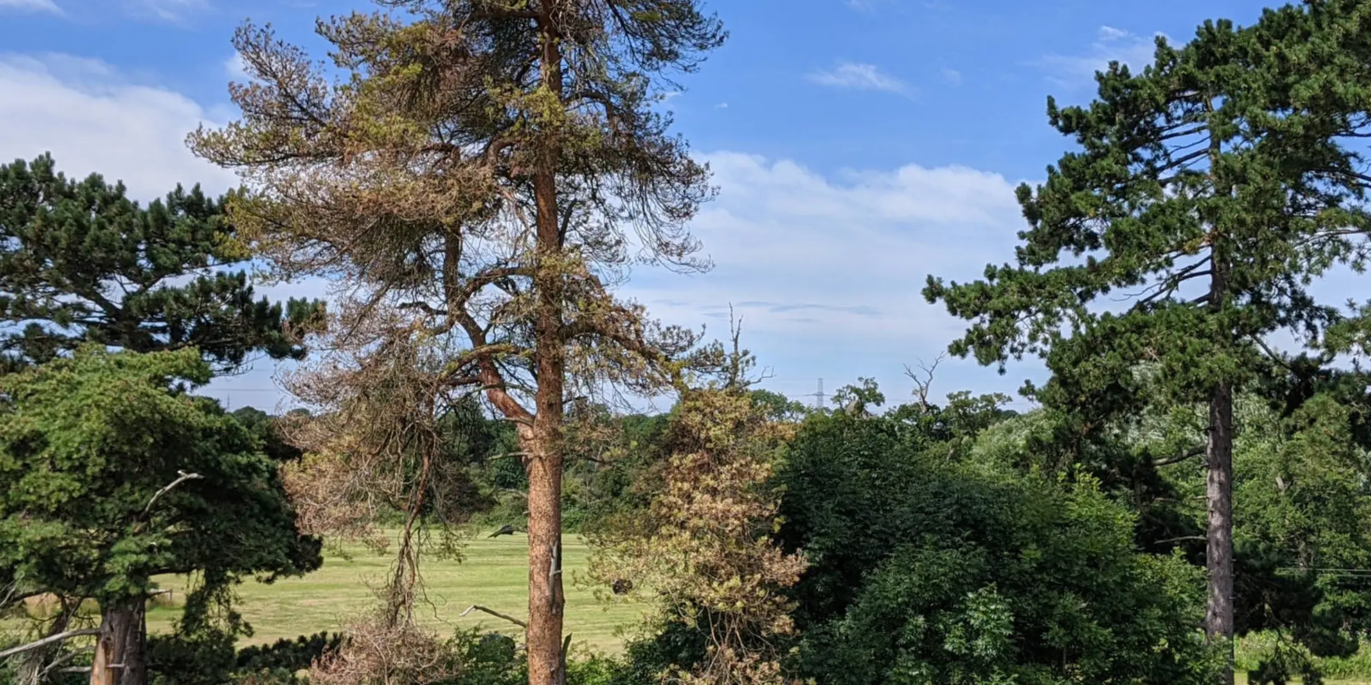 An image depicting the trail North Arden Heritage Trail and its surrounding area.