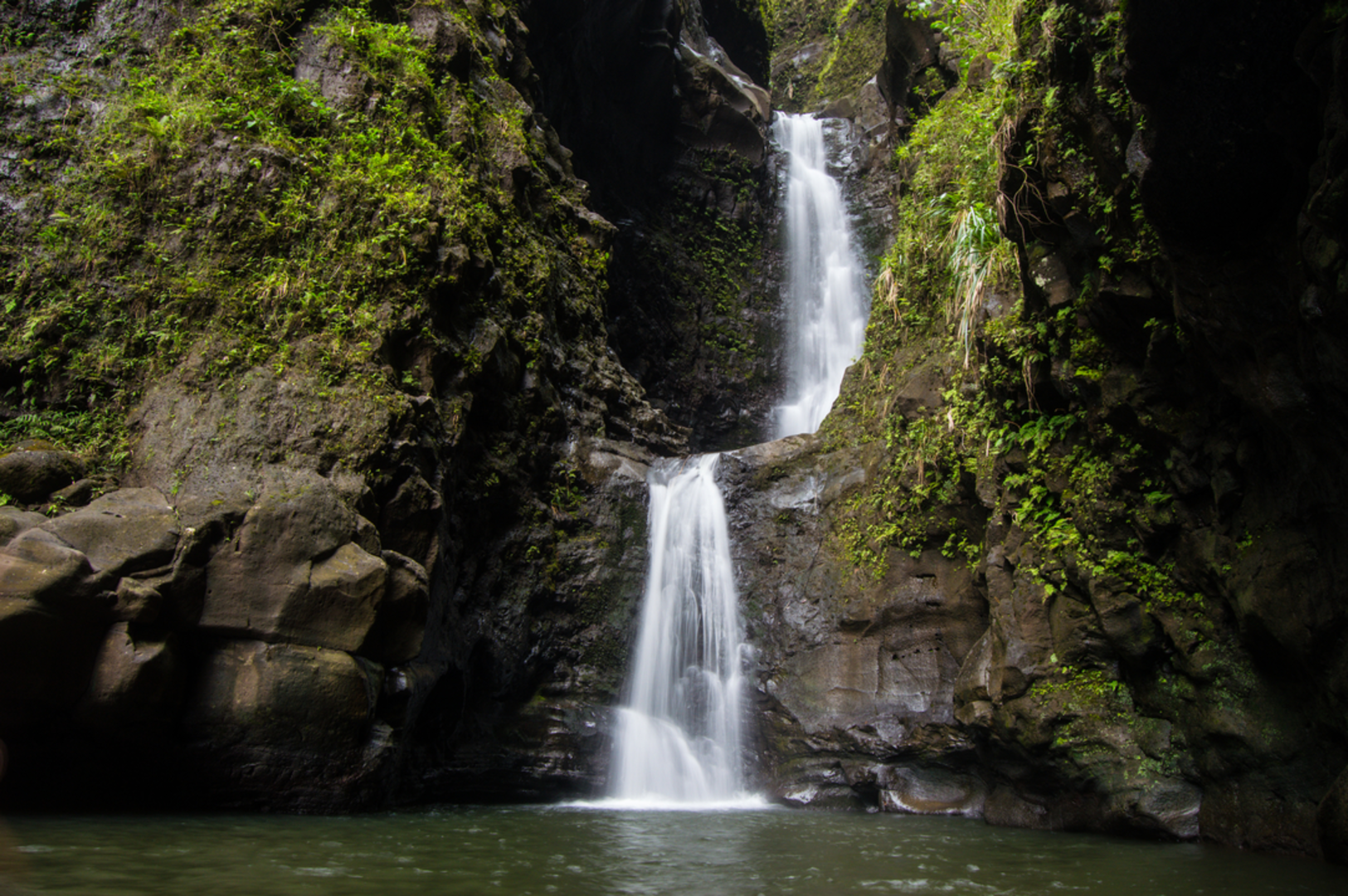 An image depicting the trail Makaleha Falls Trail and its surrounding area.