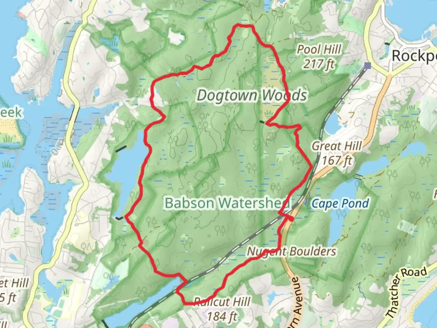 An image depicting the trail Dogtown Woods South Loop Trail and its surrounding area.