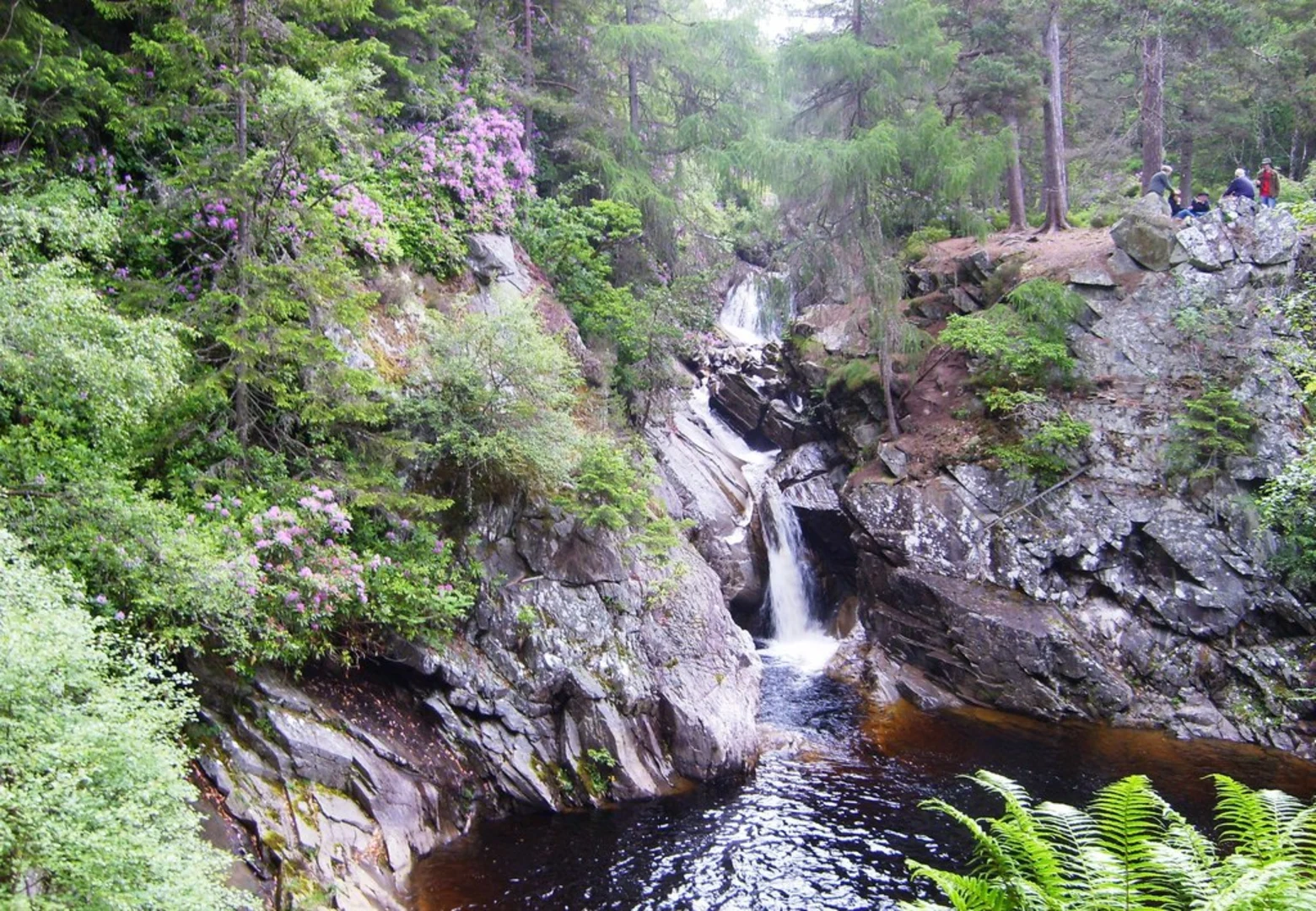 An image depicting the trail Falls of Bruar Walk and its surrounding area.