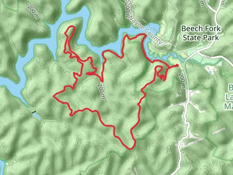 Lost, Rubens Branch and Mary Davis Loop Trail