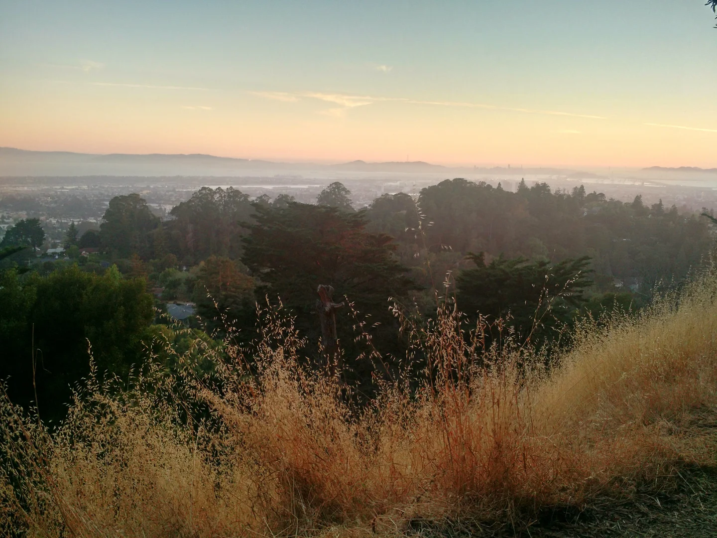 An image depicting the trail Redwood Peak Trail, West Ridge Trail and Sinawik Loop and its surrounding area.